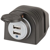 Dual USB Charging Ports 4.2A Output 12/24VDC With Cap/Indicator Light